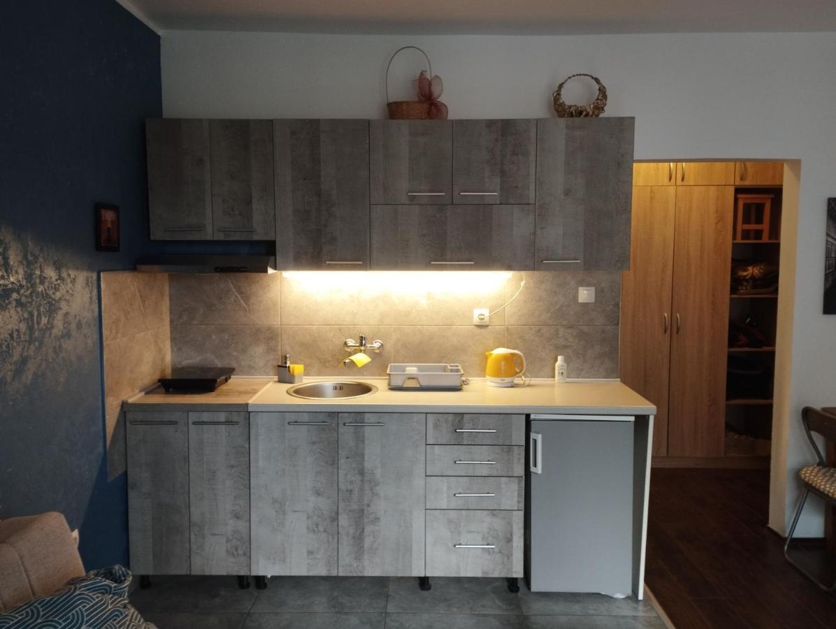Apartman Tatjana Novi Sad Exterior foto